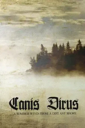 Limited Offer A Somber Wind From A Distant Shore