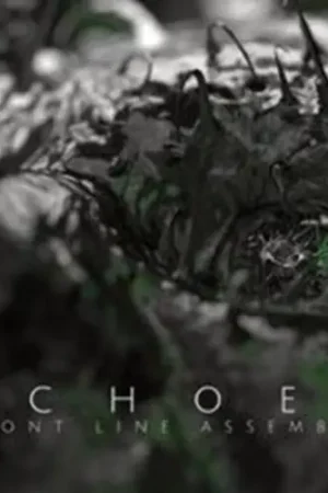 Big Sale Echoes [Digipak]