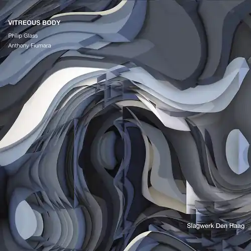 Virtuous Body - Philip Glass & Anthony Fiumara Budget