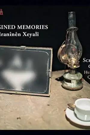 Limited Offer Imagined Memories