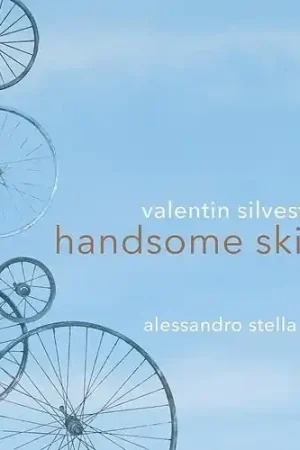 Warranty Included Handsome Skies