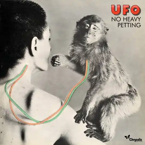 Buy Online No Heavy Petting - Deluxe Edition - 2023 Remaster