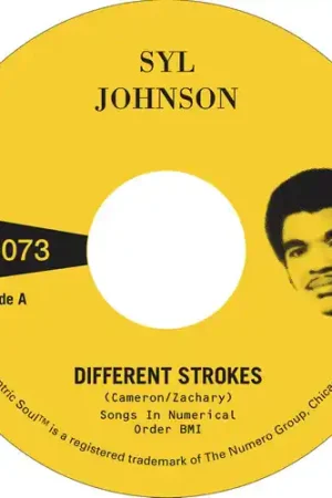 Professional Grade Different Strokes / Is It Because I'm Black [Indie Exclusive]