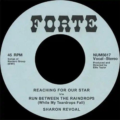 Discount Reaching For Our Star B/W Run Between Raindrops