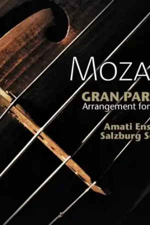 Direct From Factory Gran Partita For String Octet