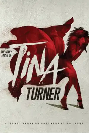 Many Faces Of Tina Turner / Various [Clear Vinyl] (Gate) Premium