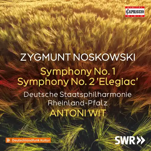 Symphonies Nos. 1 & 2 Elegiac Instant Buy