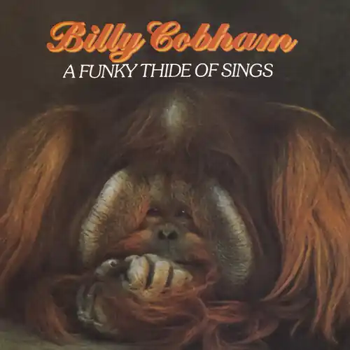 Exclusive Offer A Funky Thide Of Sings