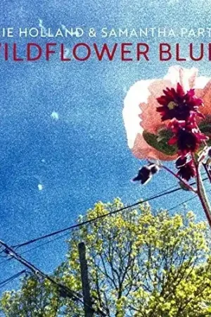 Sale Wildflower Blues