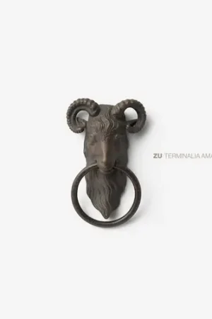 Last Chance Terminalia Amazonia