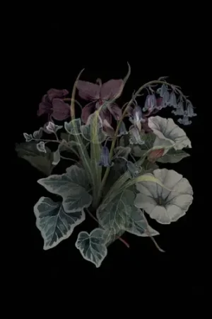 Final Sale Wildflowers (Blk) (Gate) [Limited Edition] [180 Gram]