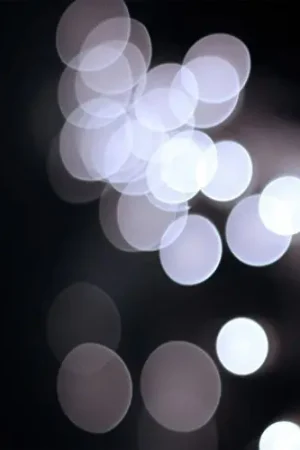 Seasonal Sale Into The Night