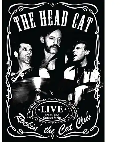 Rockin' The Cat Club Latest