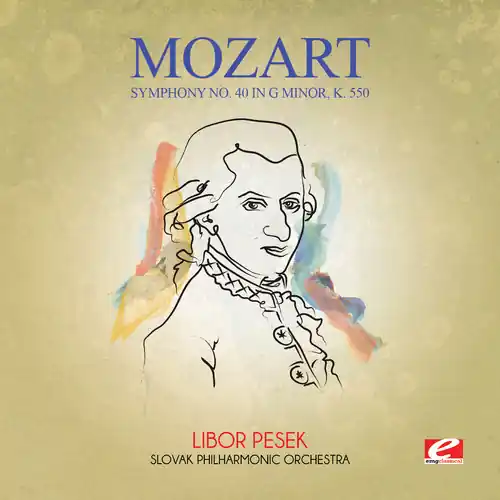 Symphony No. 40 in G minor K. 550 Professional Grade