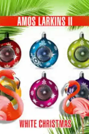 White Christmas Best Price