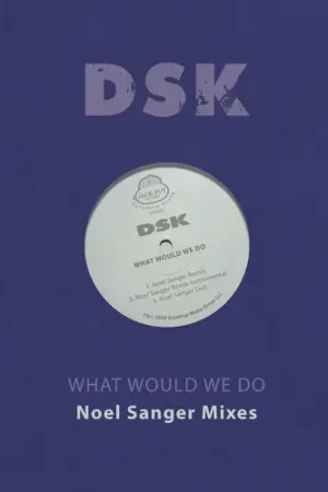What Would We Do - Noel Sanger Mixes (Mod) Hot Deal