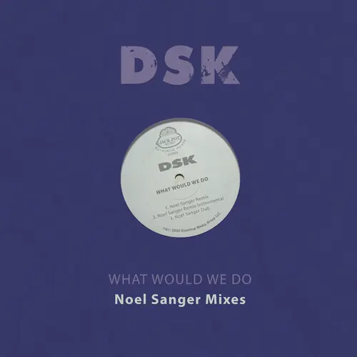 What Would We Do - Noel Sanger Mixes (Mod) Hot Deal