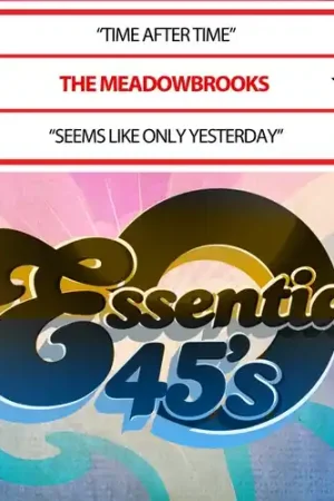 One Day Deal Time After Time / Seems Like Only Yesterday (Digit