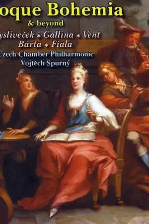 Special Discount Bohemian Baroque 4
