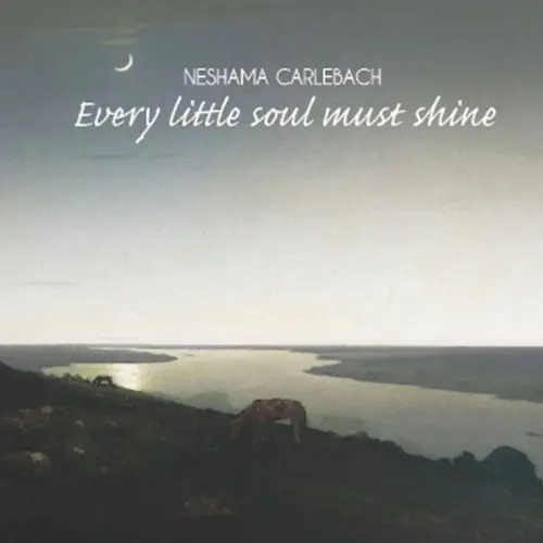 Every Little Soul Must Shine Seasonal Sale