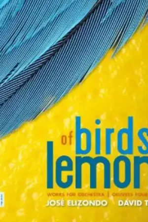 Bulk Order Of Birds & Lemons
