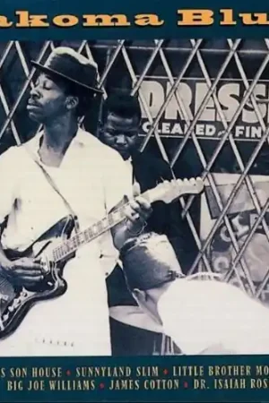 Time-Limited Takoma Blues / Various