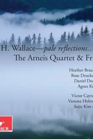 Handmade Wallace: pale reflections