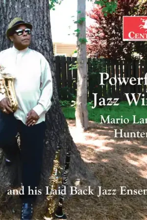 Factory Price Powerful Jazz Winds