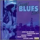 Special Discount Chicago Blues Band