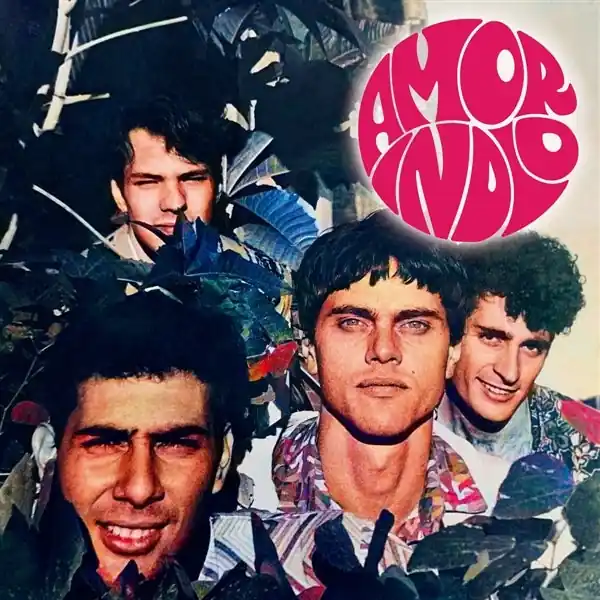 Certified Amor Indio - Amor Indio (LP)