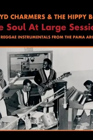 Price Drop Lloyd & Hippy Boys Charmers - The Soul At Large Sessions (LP)