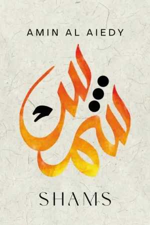 Save Now Amin Al Aiedy - Shams (LP)