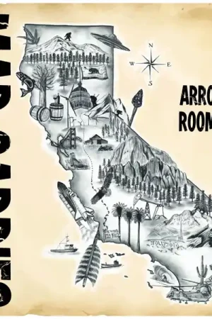 Mad Caddies - Arrows Room 117 (LP) Super Sale