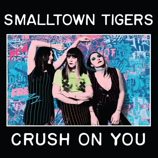 Smalltown Tigers - Crush On You (LP) In Demand