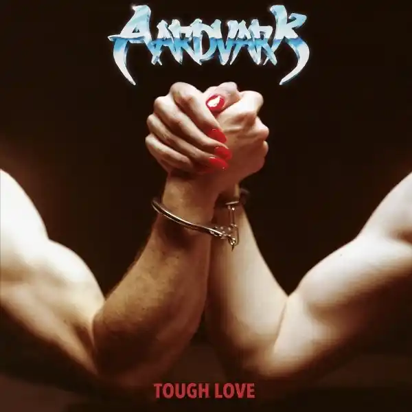 Aardvark - Tough Love (LP) Cheap
