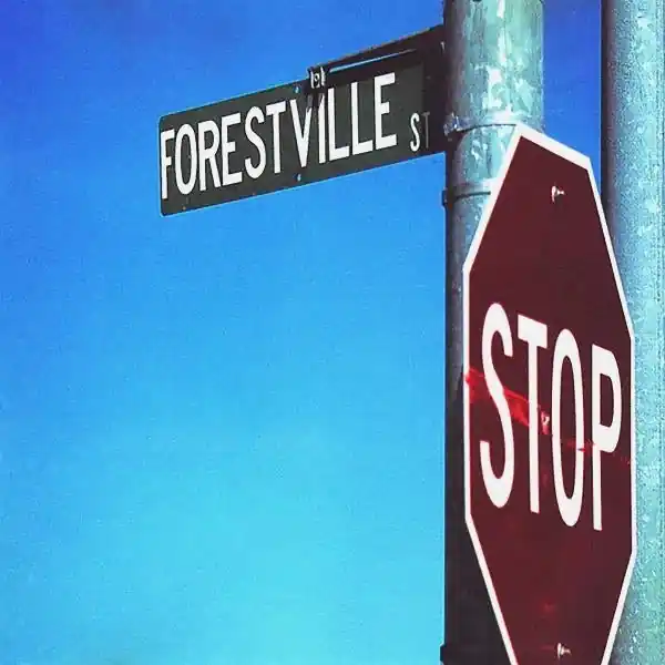 Luxury Bracket - 924 Forestville St (LP)