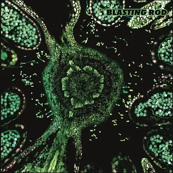 Blasting Rod - Of Wild Hazel (LP) Buy Today