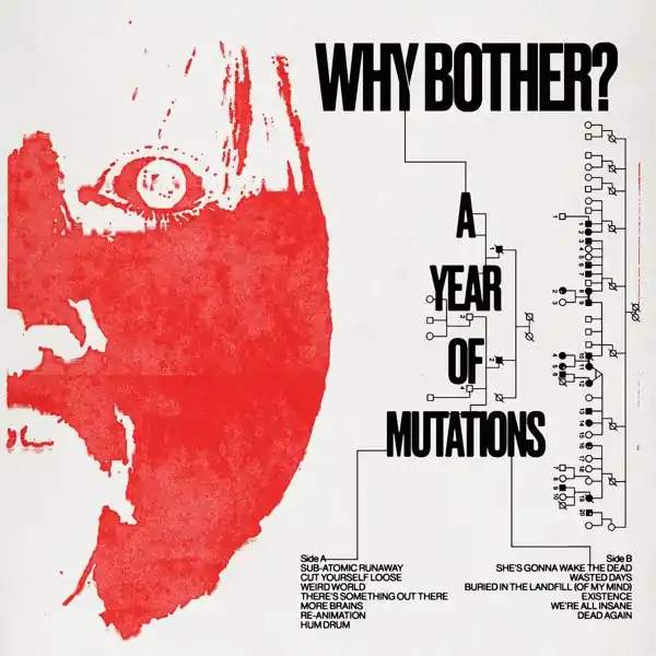 Limited Offer Why Bother? - A Year of Mutations (LP)