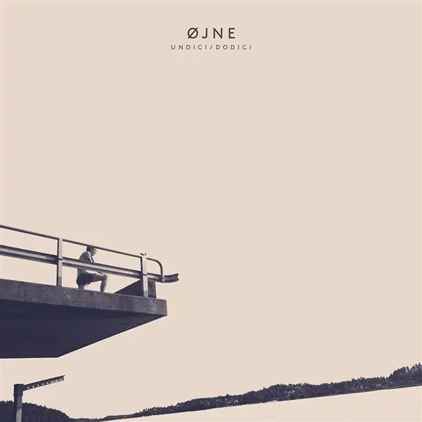Professional Grade Ojne - Undici/Dodici (LP)