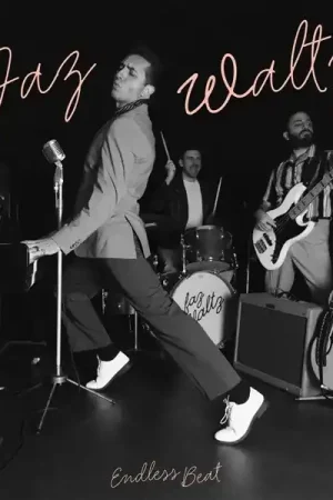 Faz Waltz - Endless Beat (LP) Bargain
