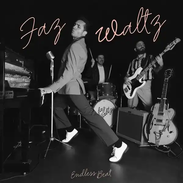 Faz Waltz - Endless Beat (LP) Bargain