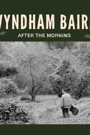 Free Shipping Wyndham Baird - After the Morning (LP)