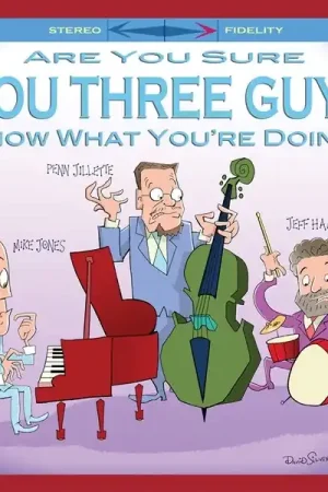 Place Order Jeff & Mike Jones & Penn Jillete Hamilton - Are You Sure You Three Guys Know What You Are Doing? (LP)