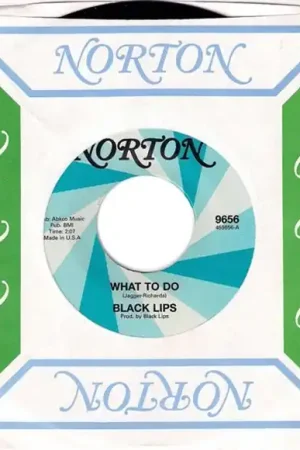 Order Now Black Lips/Demon's Claw - What To Do/Factory Girl (Single)