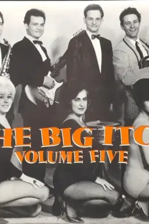 Various - Big Itch, Vol. 5 (LP) Best Choice