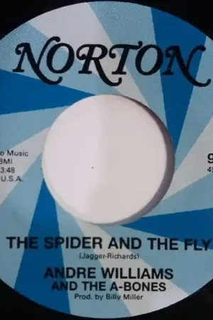 Clearance Andre & the Greasy Chickens Williams - the Spider and the Fly / Andre's Blues (Single)