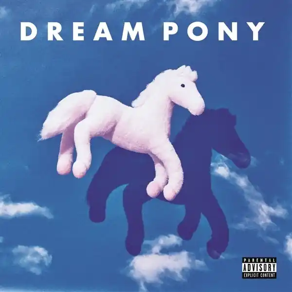 Dream Pony - Suspicion Today (LP) Cheap