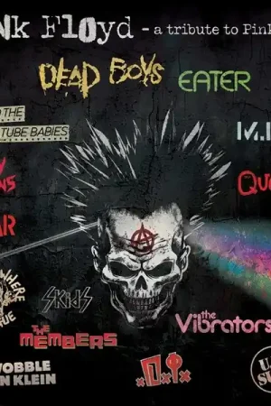V/A - Punk Floyd (LP) New Release