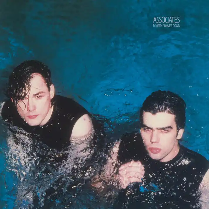 Holiday Sale Associates - Fourth Drawer Down (LP)