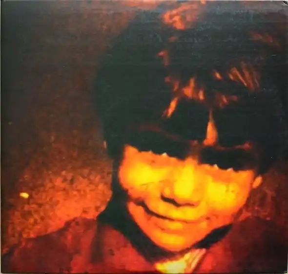 Yann Tiersen - Rue Des Cascades (2 LPs) Money Back Guarantee